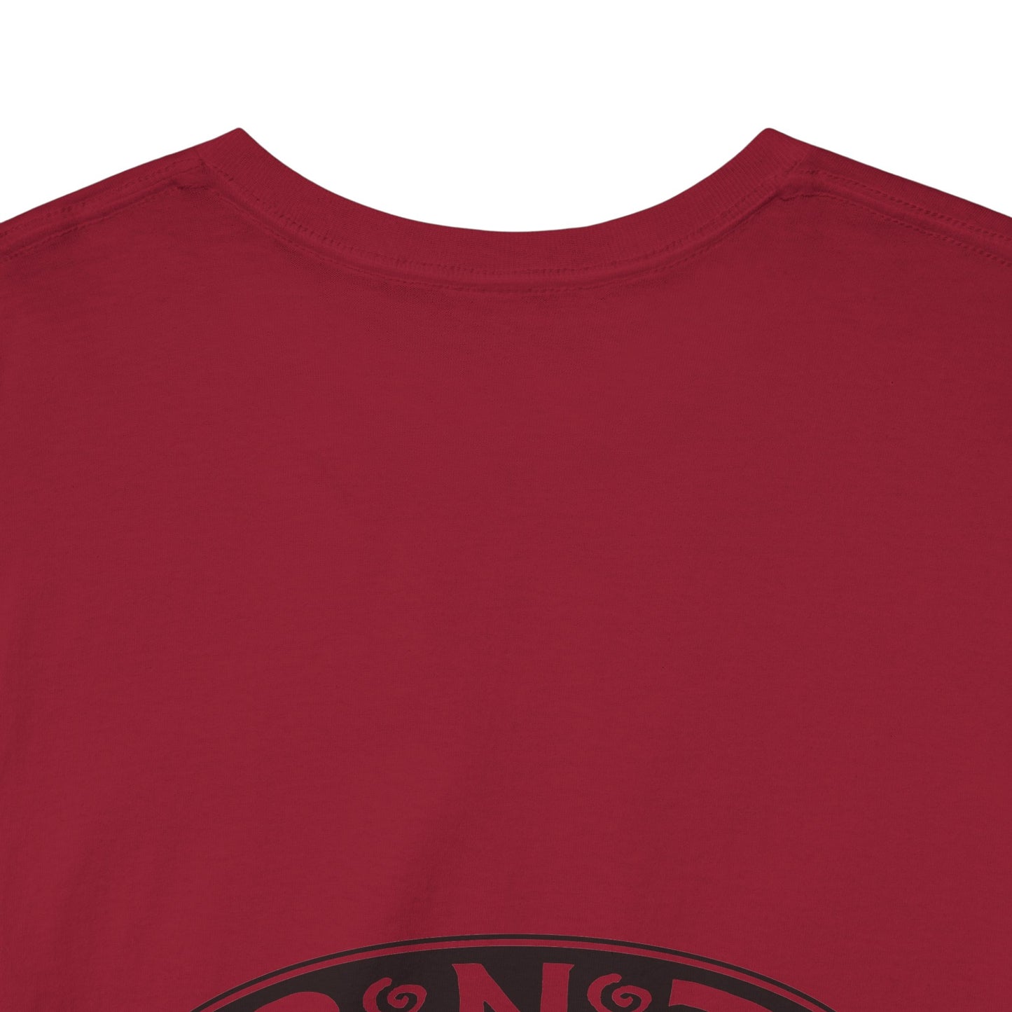TRiNiTY STOUTS T-Shirt (Darker Colors)