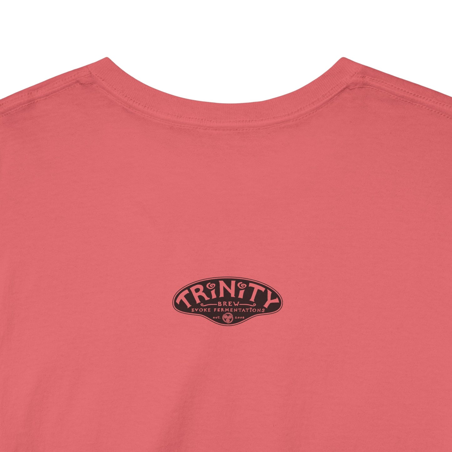 TRiNiTY Book Arch - Unisex Heavy Cotton Tee
