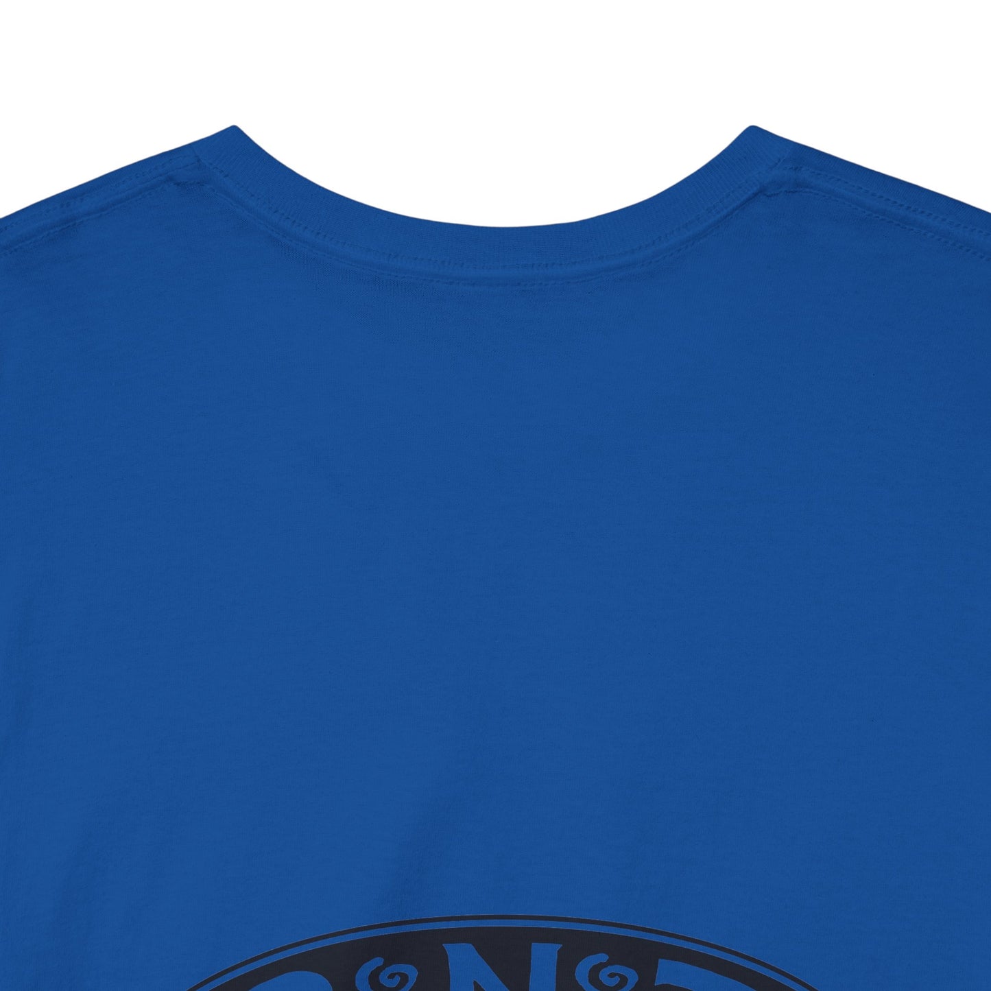 TRiNiTY STOUTS T-Shirt (Darker Colors)