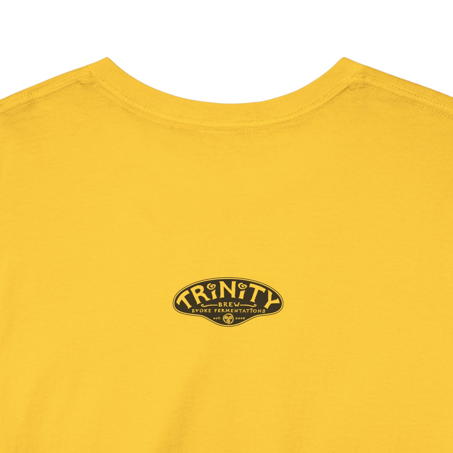 TRiNiTY Book Arch - Unisex Heavy Cotton Tee