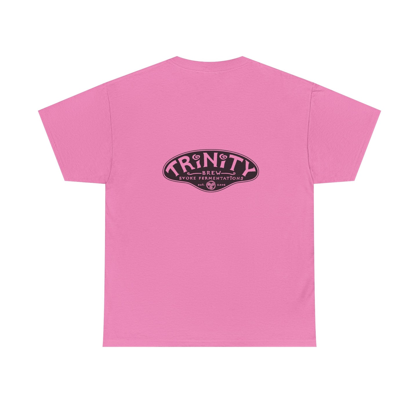 TRiNiTY STOUTS T-Shirt (Darker Colors)