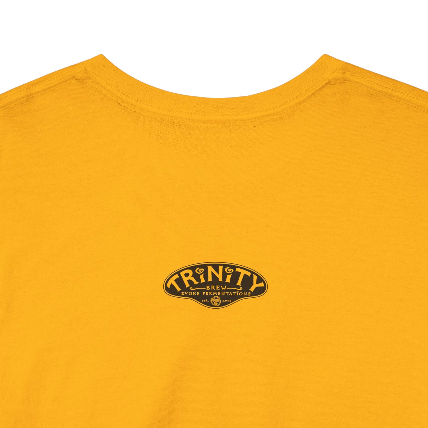 TRiNiTY Book Arch - Unisex Heavy Cotton Tee