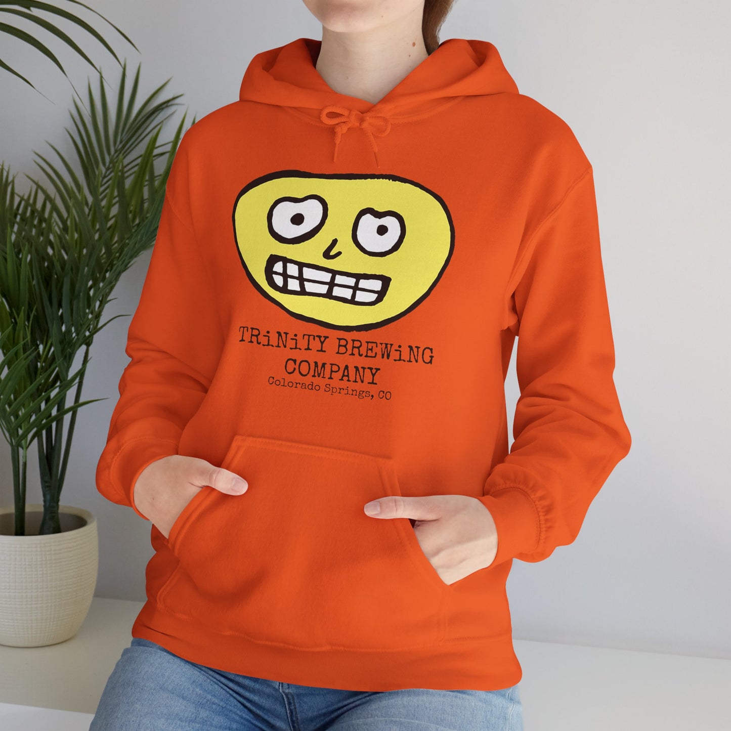 TRiNiTY Brewing Beerface Logo - Unisex Heavy Blend™ Hooded Sweatshirt