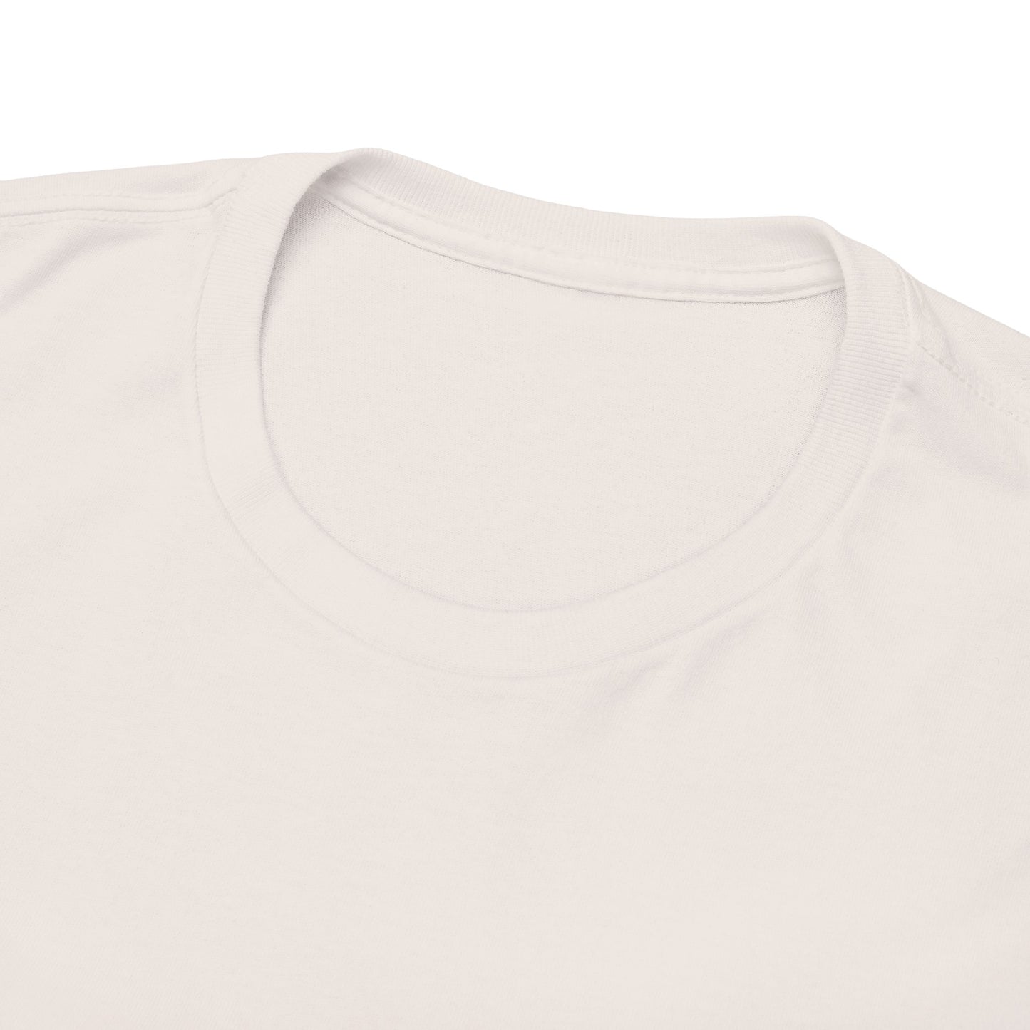 TRiNiTY Stouts T-Shirt - Unisex Heavy Cotton Tee