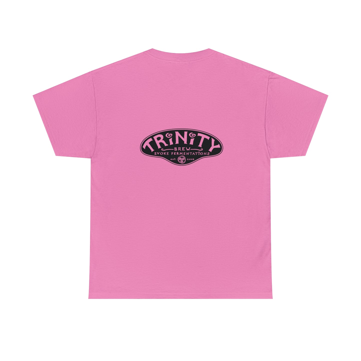 TRiNiTY STOUTS T-Shirt (Darker Colors)