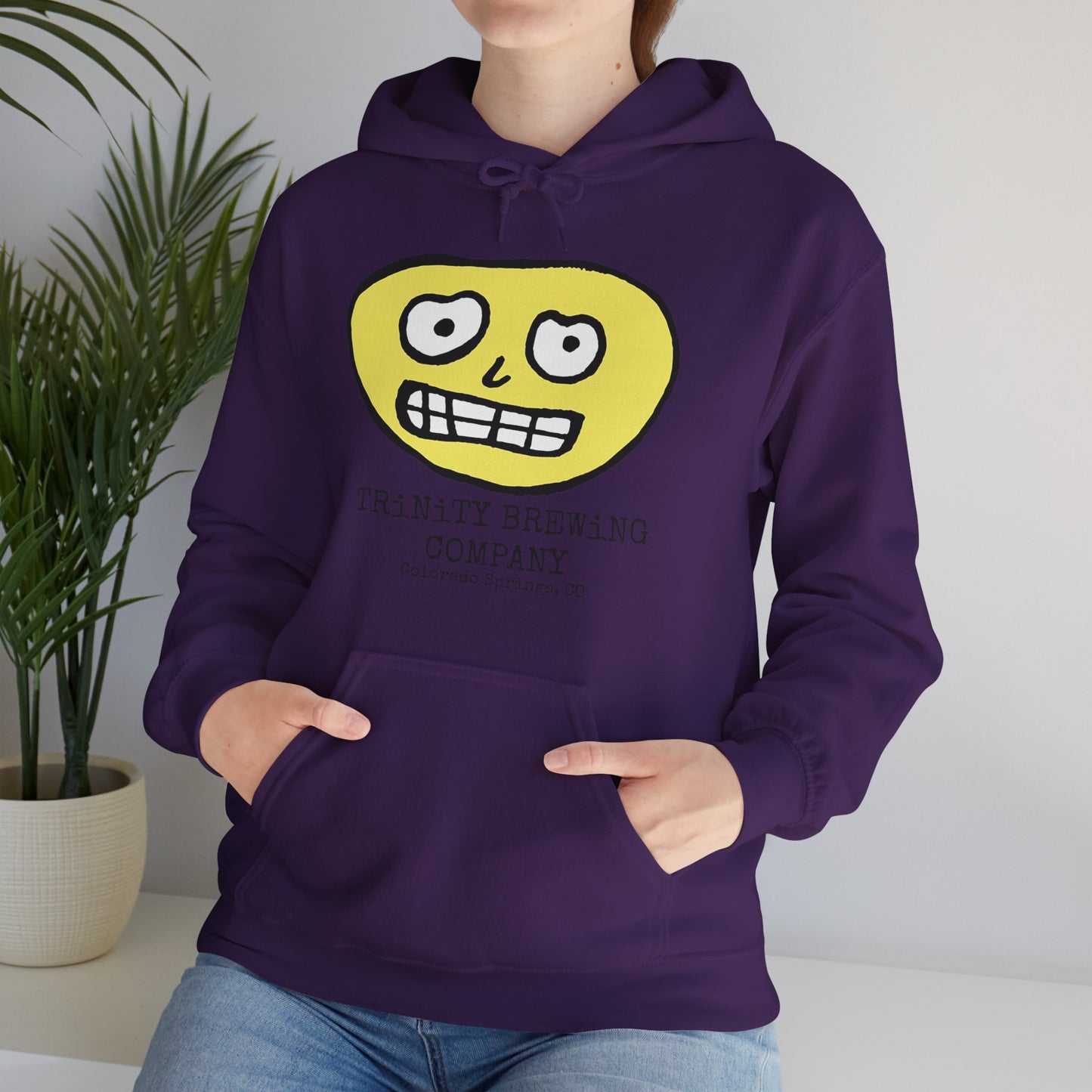 TRiNiTY Brewing Beerface Logo - Unisex Heavy Blend™ Hooded Sweatshirt