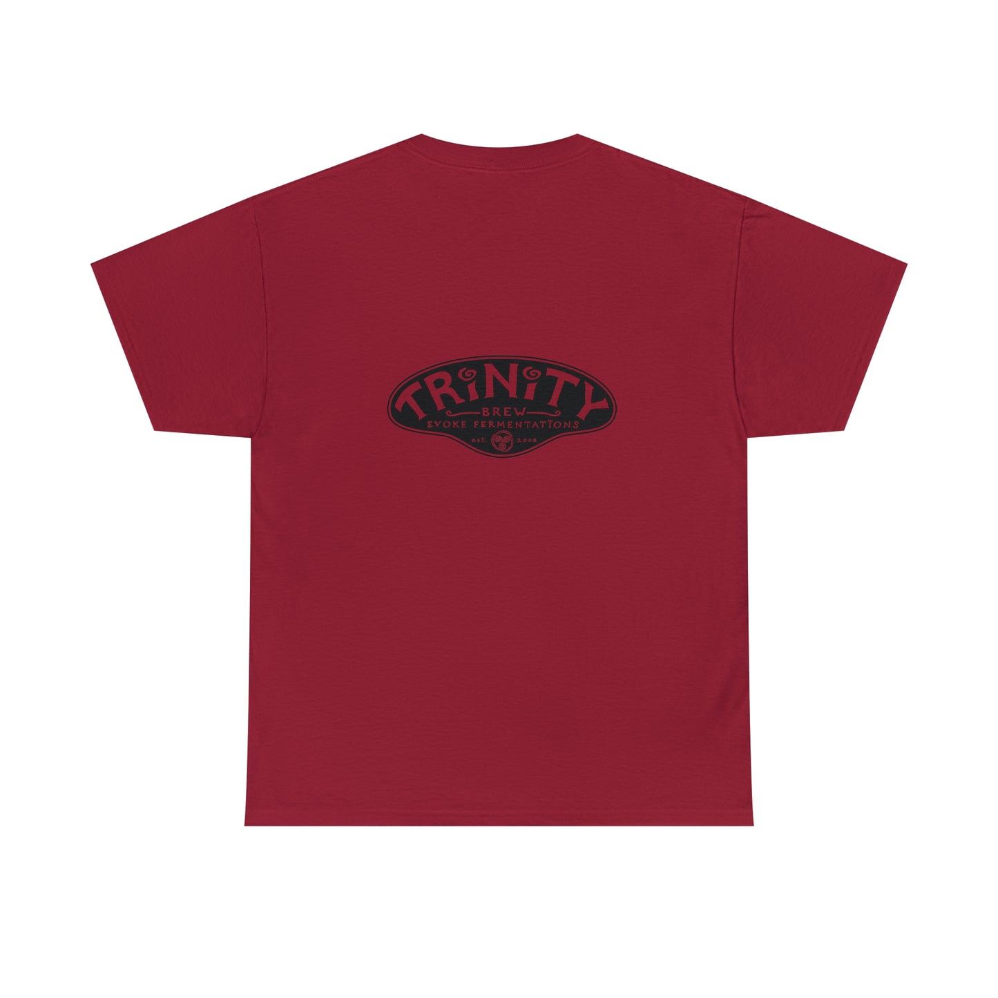 TRiNiTY STOUTS T-Shirt (Darker Colors)