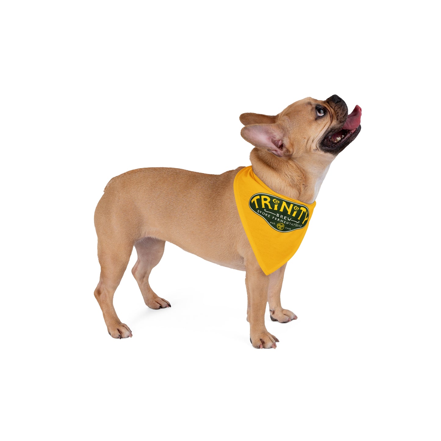 TRiNiTY Classic Logo Gold/ Green - Pet Bandana