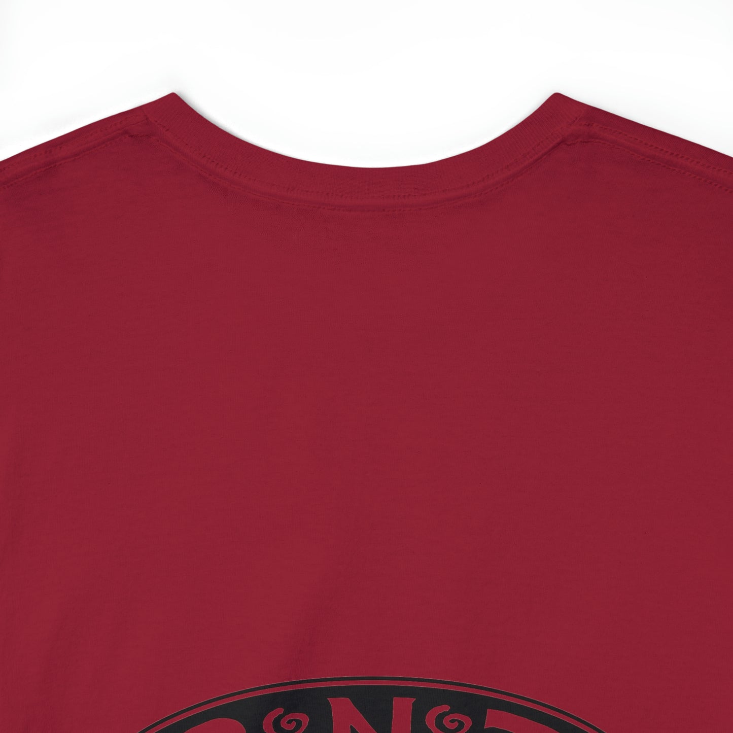 TRiNiTY STOUTS T-Shirt (Darker Colors)