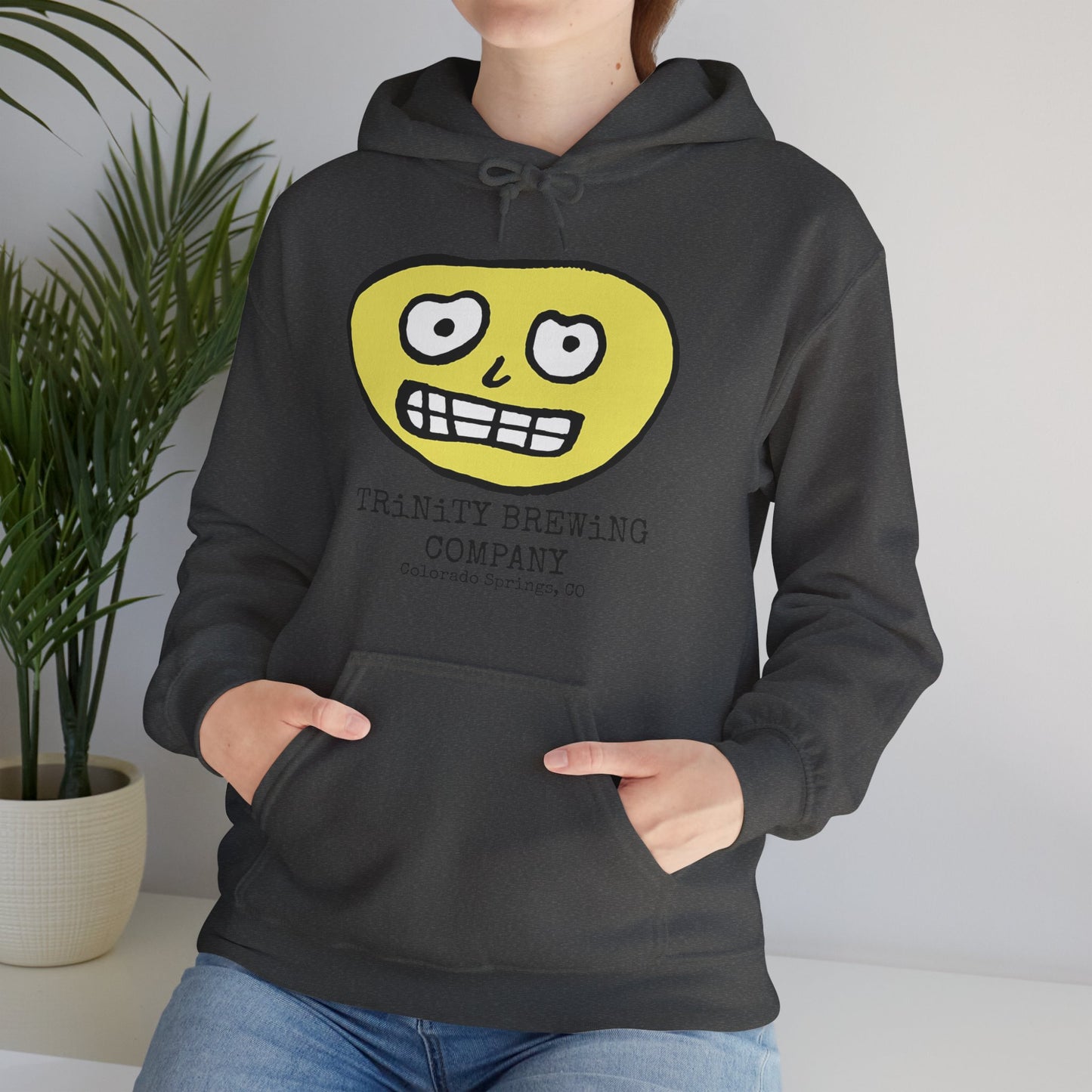 TRiNiTY Brewing Beerface Logo - Unisex Heavy Blend™ Hooded Sweatshirt