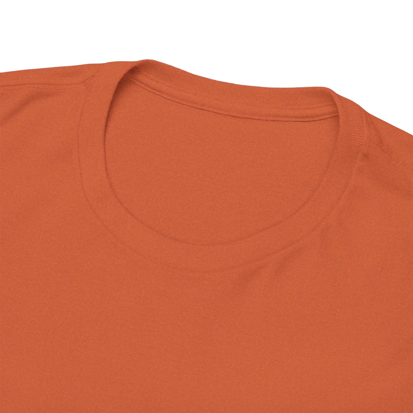 TRiNiTY Stouts T-Shirt - Unisex Heavy Cotton Tee