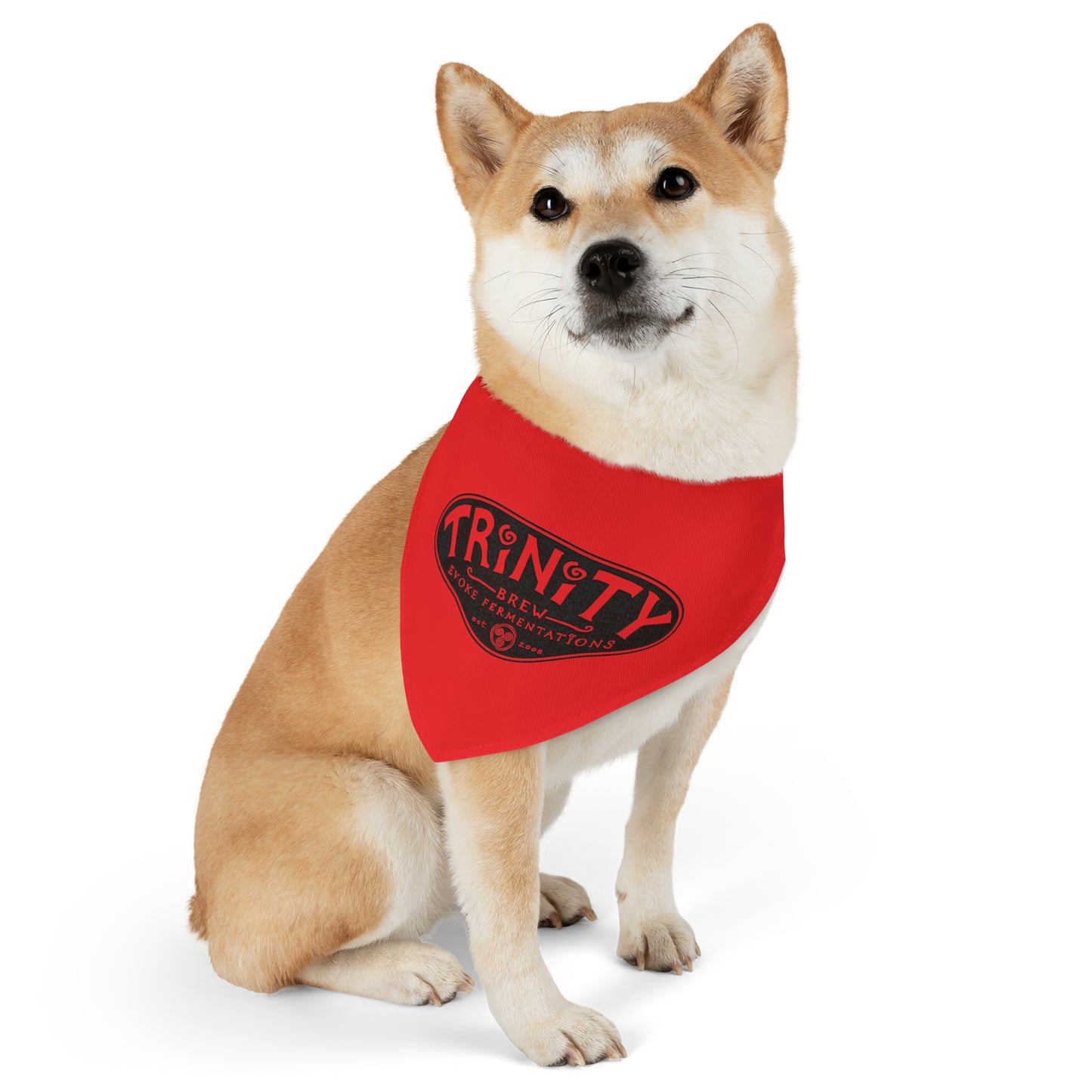 TRiNiTY Classic Logo - Pet Bandana Collar