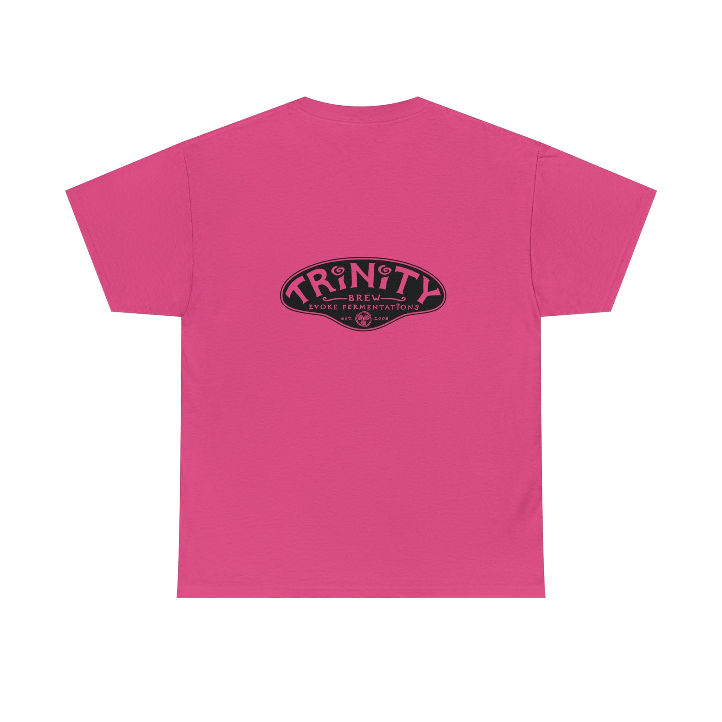 TRiNiTY STOUTS T-Shirt (Darker Colors)