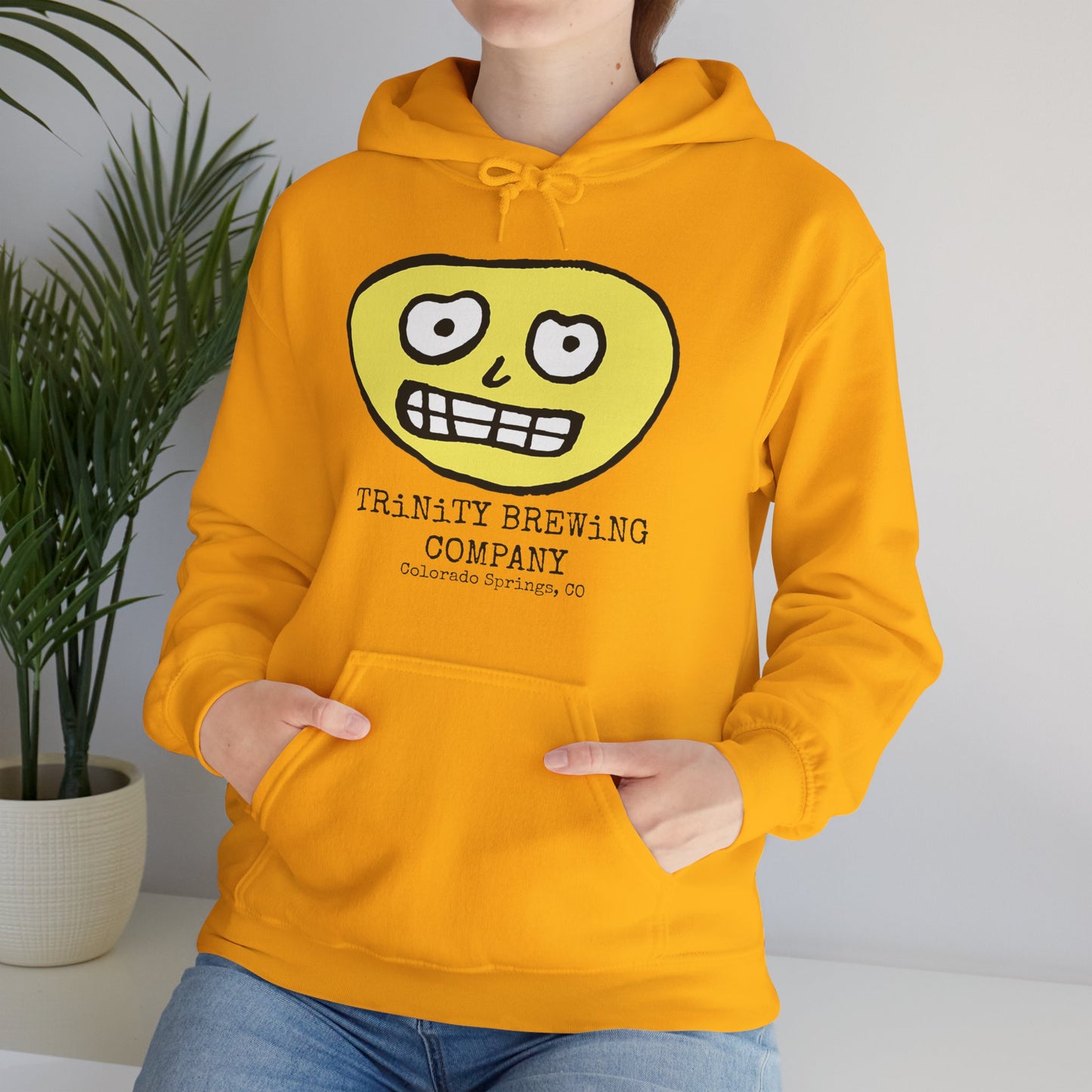 TRiNiTY Brewing Beerface Logo - Unisex Heavy Blend™ Hooded Sweatshirt