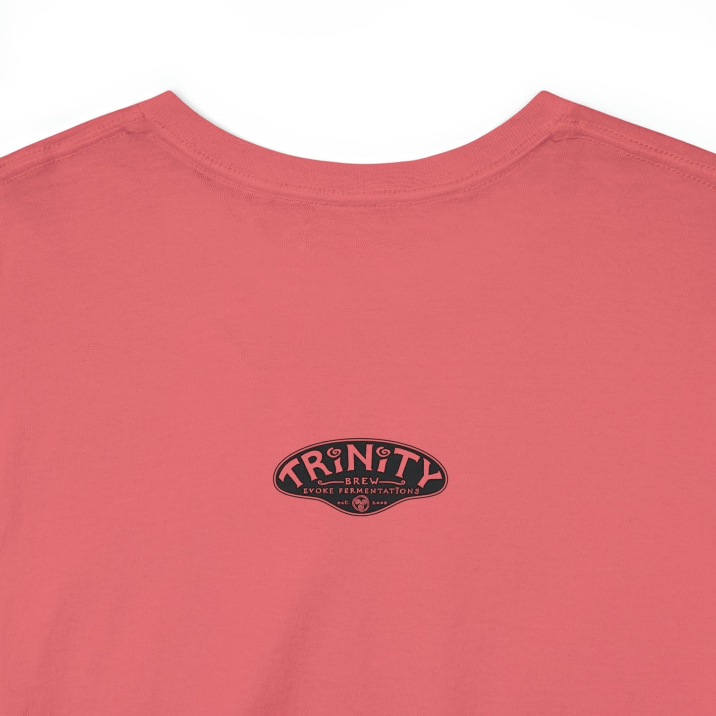 TRiNiTY Book Arch - Unisex Heavy Cotton Tee