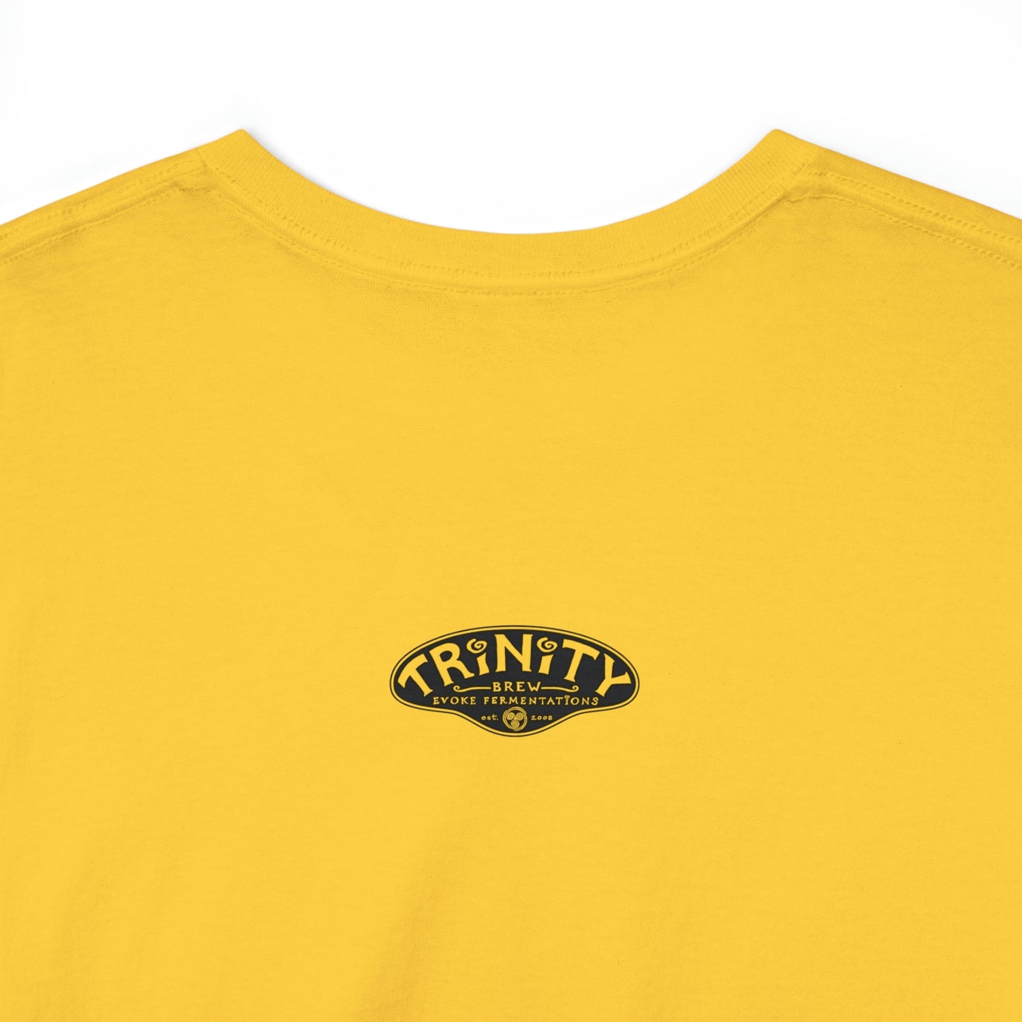 TRiNiTY Book Arch - Unisex Heavy Cotton Tee